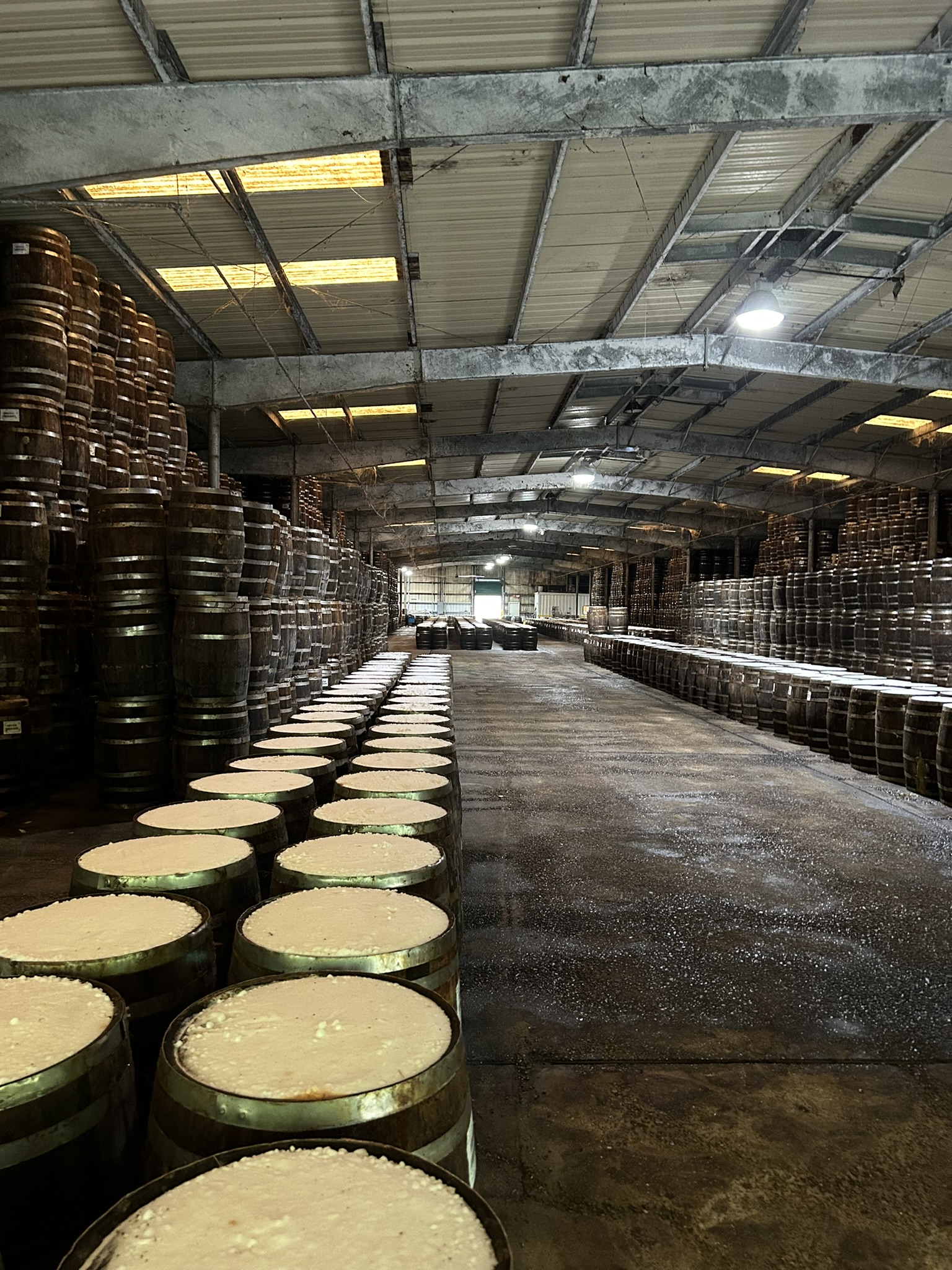 Barrels full of Tabasco